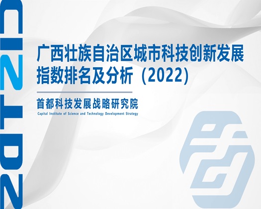 骚炮货逼射插视频【成果发布】广西壮族自治区城市科技创新发展指数排名及分析（2022）